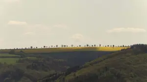 Задник до фильму"" #464528