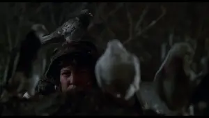 Задник до фильму"Сам удома 2: Загублений у Нью-Йорку" #567111