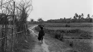 Задник до фильму"Пісня дороги" #751184