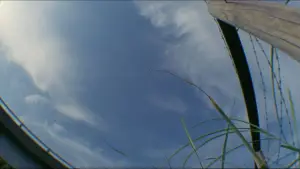 Задник до фильму"" #731106