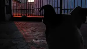 Задник до фильму"" #736755