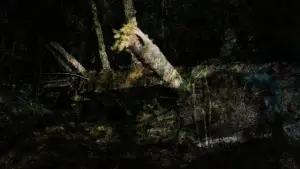 Задник до фильму"" #547818