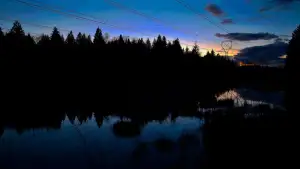 Задник до фильму"What