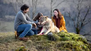 Задник до фильму"Мій вовк" #237519