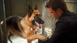 Задник до фильму"Кішки проти собак: Помста Кітті Галор" #321492