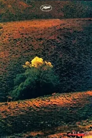 Постер до фильму"Смак вишні" #695701