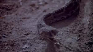 Задник до фильму"" #737840