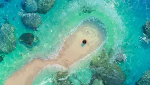 Задник до фильму"Ваяна" #629492