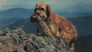 Задник до фильму"Гонитва за Бенджі" #415123