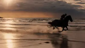 Задник до фильму"Битва титанів" #618387