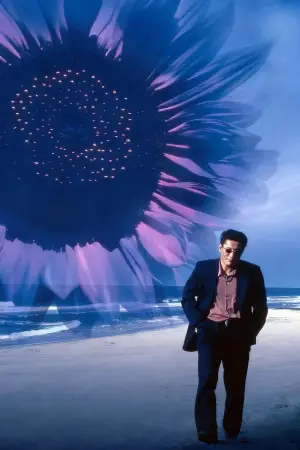 Постер до фильму"Феєрверк" #711007