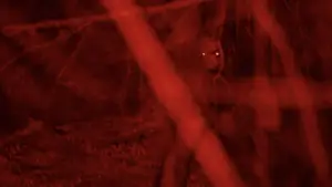 Задник до фильму"" #520682