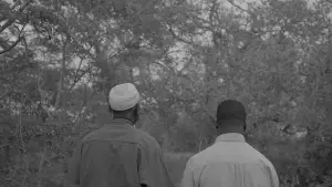 Задник до фильму"" #558066