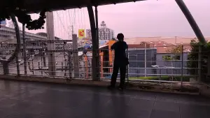 Задник до фильму"Love Songs CD" #777557