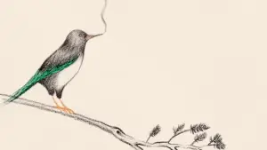 Задник до фильму"" #547712