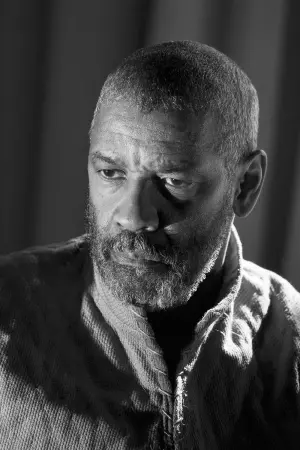 Постер до фильму"Трагедія Макбета" #250526