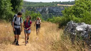 Задник до фильму"Compostelle" #796475