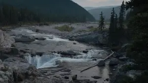 Задник до фильму"Здобич" #626135