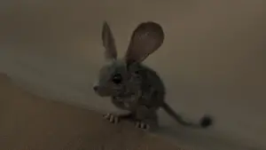 Задник до фильму"Дюна" #529683