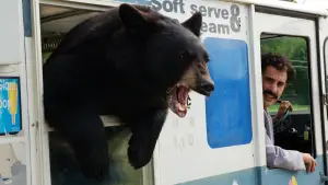 Задник до фильму"Борат: культурні дослідження Америки на користь славної держави Казахстан" #732706