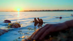 Задник до фильму"" #639795