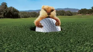 Задник до фильму"Гольф-клуб" #273429