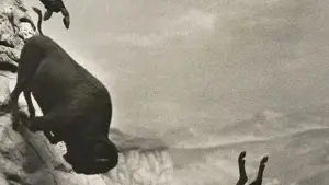 Задник до фильму"Еддінгтон" #545252