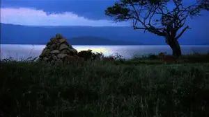 Задник до фильму"" #742306