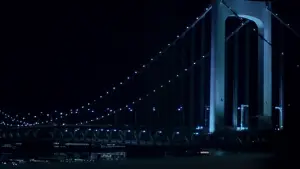 Задник до фильму"Труднощі перекладу" #660619