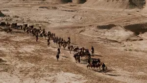 Задник до фильму"Тигр підкрадається, дракон ховається" #633607