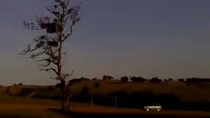 Задник до фильму"" #623391