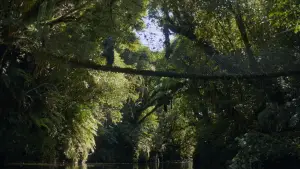 Задник до фильму"" #666894