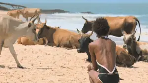 Задник до фильму"O Riso e a Faca" #799465