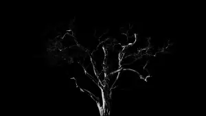 Задник до фильму"Dreams, Confessions and The End Of The World" #772858