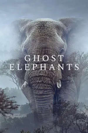 Постер до фильму"Ghost Elephants" #764757
