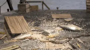 Задник до фильму"" #583866