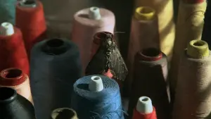 Задник до фильму"Мовчання ягнят" #487622