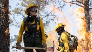 Задник до фильму"Ті, хто бажають моєї смерті" #270755