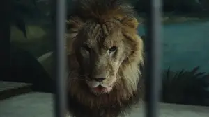 Задник до фильму"长夜将尽" #765067