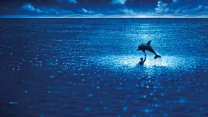 Задник до фильму"Блакитна безодня" #534922