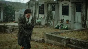 Задник до фильму"Gerta Schnirch" #813136