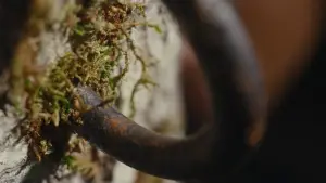 Задник до фильму"" #598752