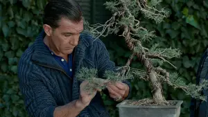 Задник до фильму"Шкіра, в якій я живу" #699203