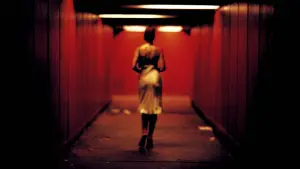 Задник до фильму"Незворотність" #231255