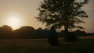 Задник до фильму"" #612763