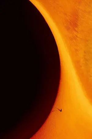 Постер до фильму"Дюна" #161634