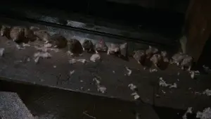 Задник до фильму"Крулл" #809251