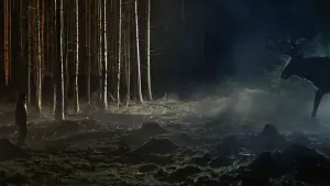 Задник до фильму"" #586445