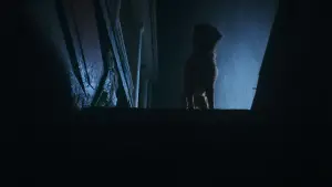 Задник до фильму"Хороший хлопчик" #517155