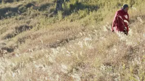 Задник до фильму"" #554318